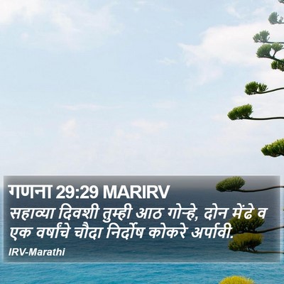 गणना 29:29 MARIRV Bible Verse Image