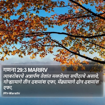गणना 29:3 MARIRV Bible Verse Image