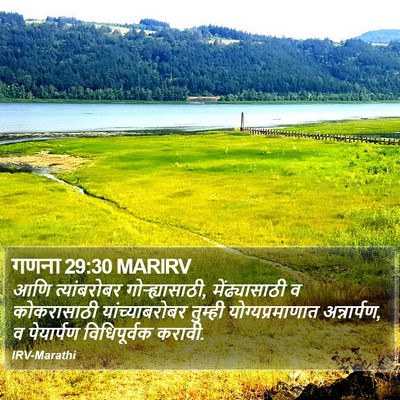 गणना 29:30 MARIRV Bible Verse Image