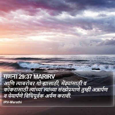 गणना 29:37 MARIRV Bible Verse Image
