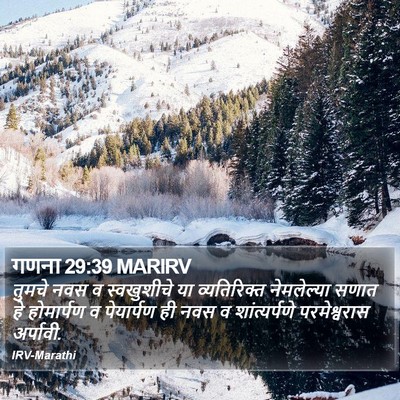 गणना 29:39 MARIRV Bible Verse Image