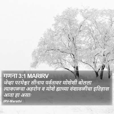 गणना 3:1 MARIRV Bible Verse Image