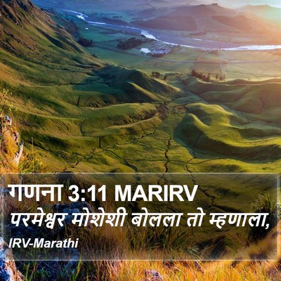 गणना 3:11 MARIRV Bible Verse Image