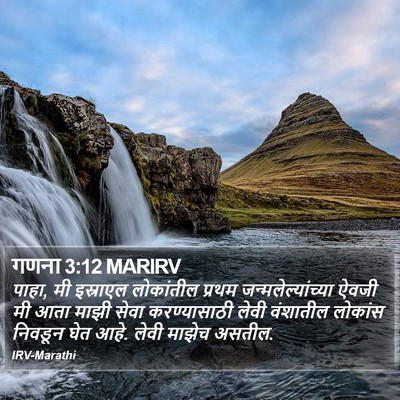 गणना 3:12 MARIRV Bible Verse Image