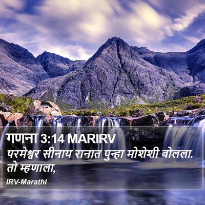 गणना 3:14 MARIRV Bible Verse Image
