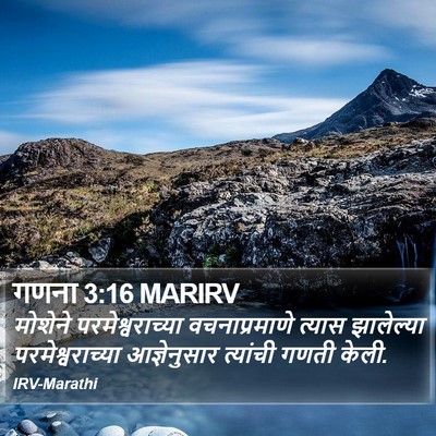 गणना 3:16 MARIRV Bible Verse Image
