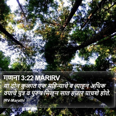 गणना 3:22 MARIRV Bible Verse Image