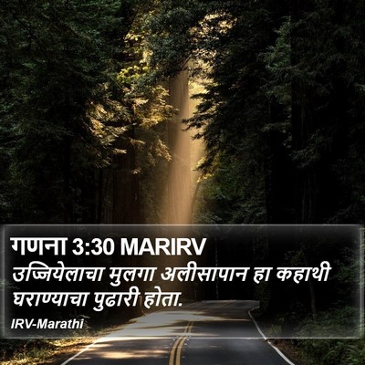 गणना 3:30 MARIRV Bible Verse Image
