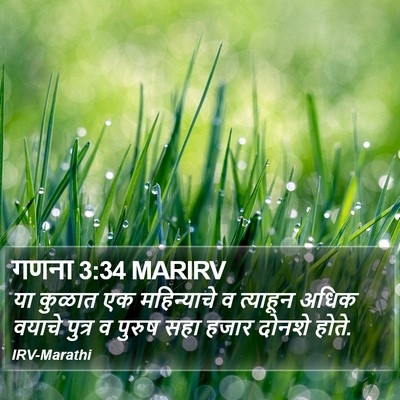गणना 3:34 MARIRV Bible Verse Image