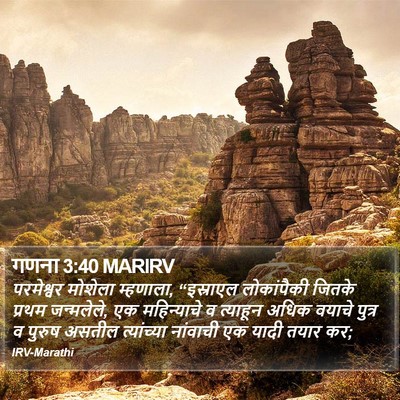गणना 3:40 MARIRV Bible Verse Image