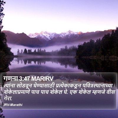 गणना 3:47 MARIRV Bible Verse Image
