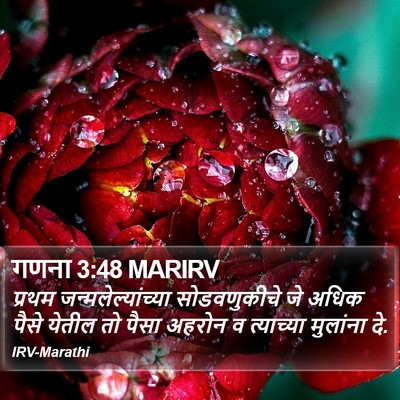 गणना 3:48 MARIRV Bible Verse Image