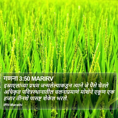 गणना 3:50 MARIRV Bible Verse Image