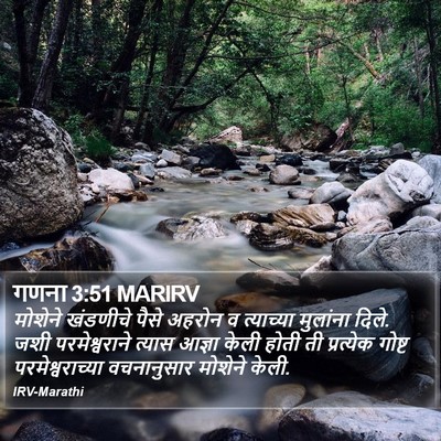 गणना 3:51 MARIRV Bible Verse Image