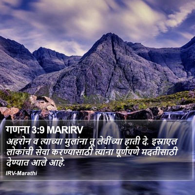 गणना 3:9 MARIRV Bible Verse Image