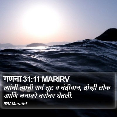गणना 31:11 MARIRV Bible Verse Image