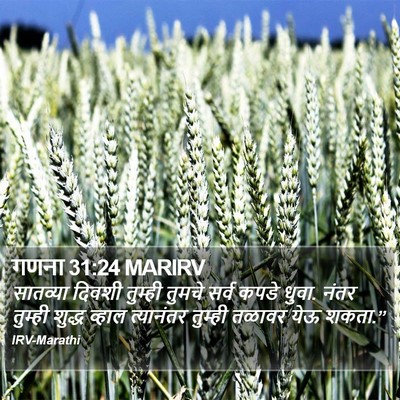 गणना 31:24 MARIRV Bible Verse Image