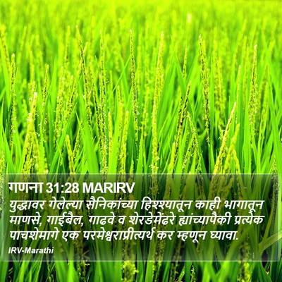 गणना 31:28 MARIRV Bible Verse Image