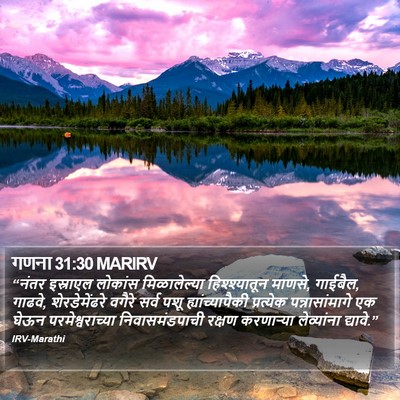 गणना 31:30 MARIRV Bible Verse Image