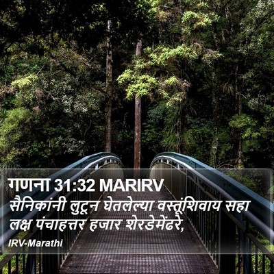 गणना 31:32 MARIRV Bible Verse Image