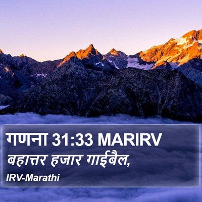 गणना 31:33 MARIRV Bible Verse Image