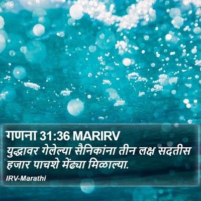 गणना 31:36 MARIRV Bible Verse Image