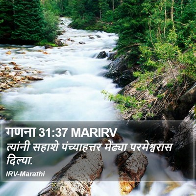 गणना 31:37 MARIRV Bible Verse Image