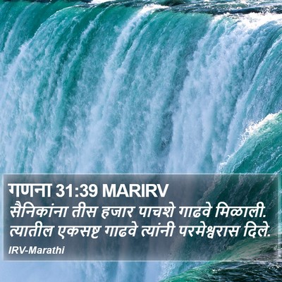 गणना 31:39 MARIRV Bible Verse Image