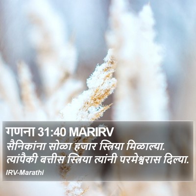 गणना 31:40 MARIRV Bible Verse Image