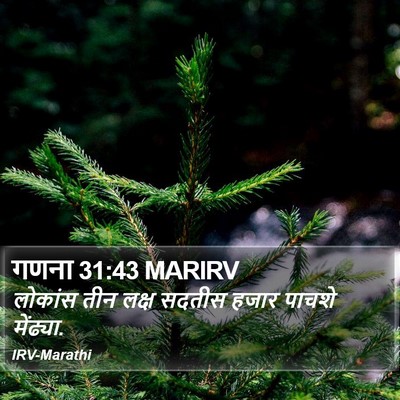 गणना 31:43 MARIRV Bible Verse Image