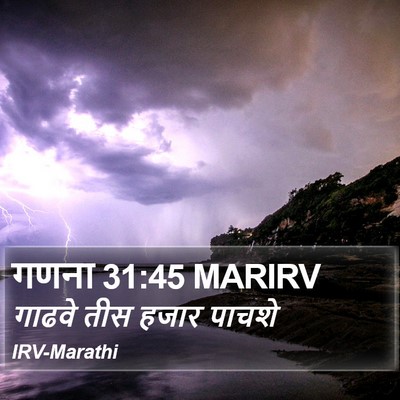 गणना 31:45 MARIRV Bible Verse Image