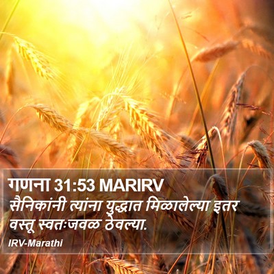 गणना 31:53 MARIRV Bible Verse Image