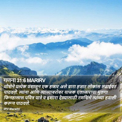 गणना 31:6 MARIRV Bible Verse Image