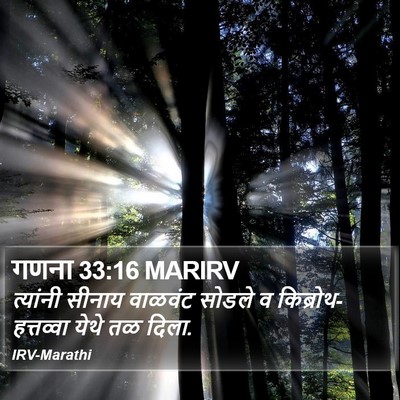 गणना 33:16 MARIRV Bible Verse Image