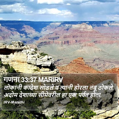 गणना 33:37 MARIRV Bible Verse Image