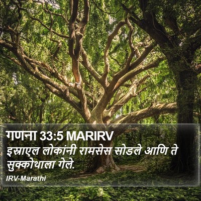 गणना 33:5 MARIRV Bible Verse Image