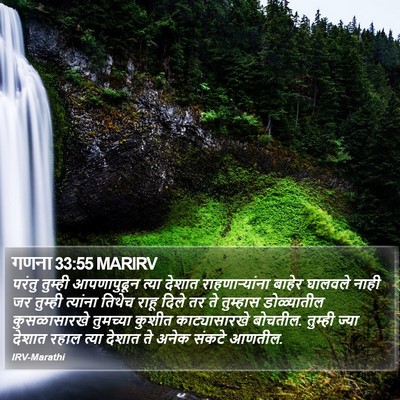 गणना 33:55 MARIRV Bible Verse Image