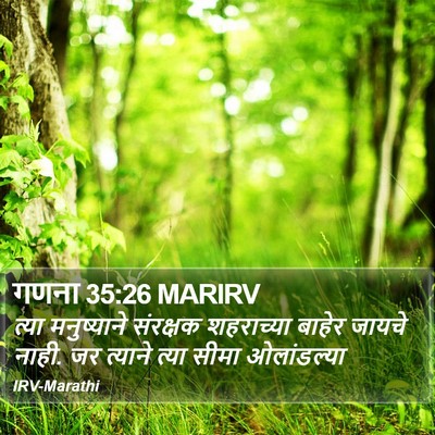 गणना 35:26 MARIRV Bible Verse Image