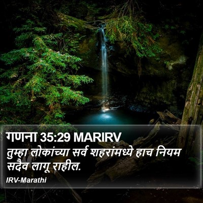 गणना 35:29 MARIRV Bible Verse Image