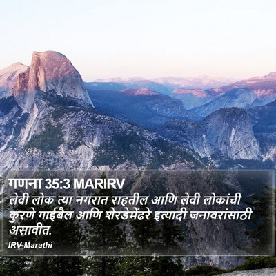 गणना 35:3 MARIRV Bible Verse Image
