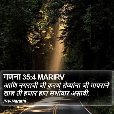 गणना 35:4 MARIRV Bible Verse Image