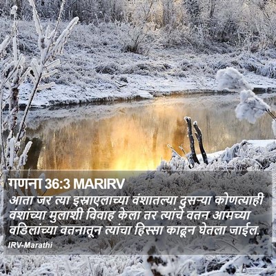 गणना 36:3 MARIRV Bible Verse Image