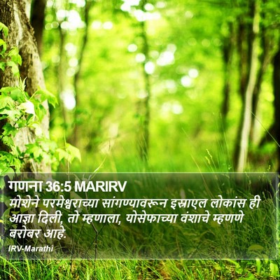 गणना 36:5 MARIRV Bible Verse Image