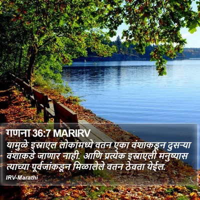 गणना 36:7 MARIRV Bible Verse Image