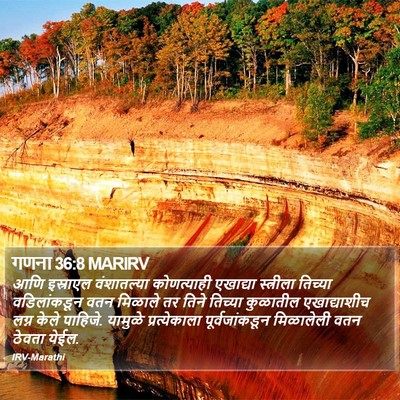 गणना 36:8 MARIRV Bible Verse Image