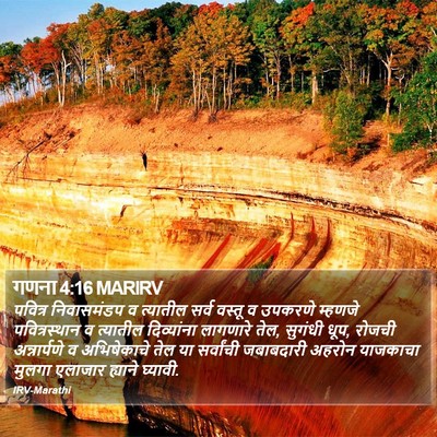 गणना 4:16 MARIRV Bible Verse Image