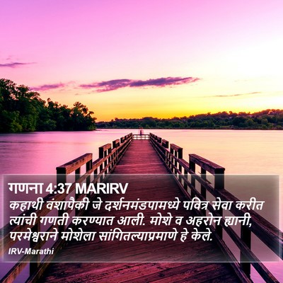 गणना 4:37 MARIRV Bible Verse Image