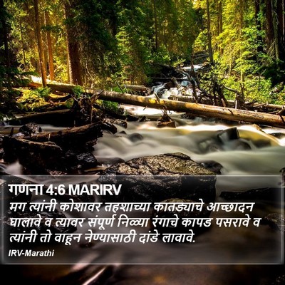 गणना 4:6 MARIRV Bible Verse Image