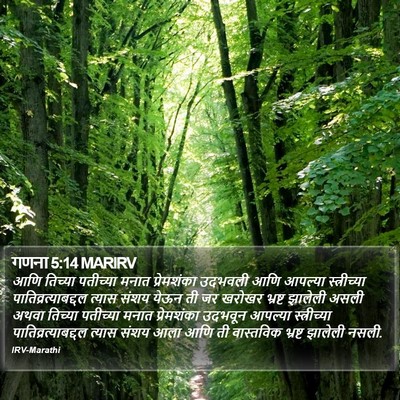 गणना 5:14 MARIRV Bible Verse Image