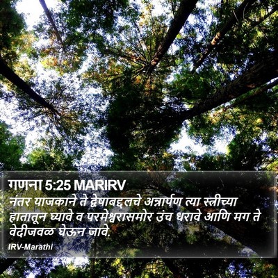 गणना 5:25 MARIRV Bible Verse Image